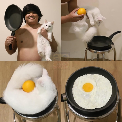 Bắt cả "boss" cosplay làm quả trứng ốp-la! Ảnh: Instagram. "Thánh cosplay giá rẻ” biến hình Siêu Xayda, các fan truyện tranh tôn là “thiên tài“ ảnh 1