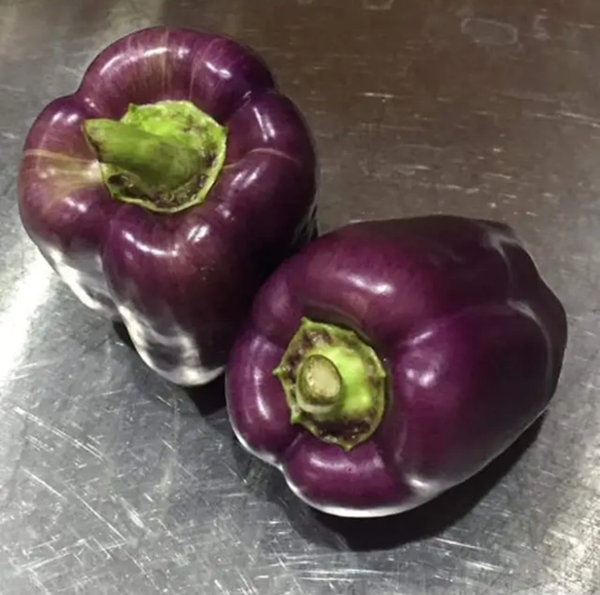 Cuộc sống không phải lúc nào cũng bình thường: Những bức ảnh bất ngờ chứng minh điều đó ảnh 12