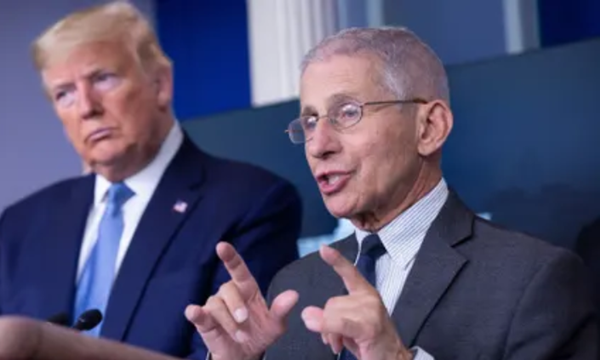 Sau “Bánh Cách Ly”, dân tình ào ào đặt mua “Bánh Bác Sĩ”! ảnh 1