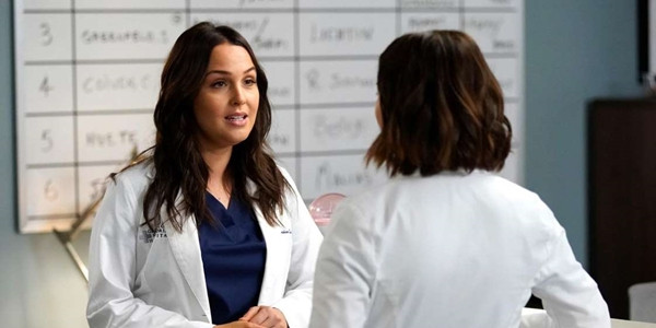 Grey’s Anatomy và các đoàn phim y khoa đồng loạt quyên góp chống dịch Covid-19 ảnh 2