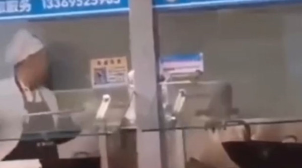 Phẫn nộ với clip nhân viên trường ĐH nhúng cây lau nhà vào chảo nấu thức ăn cho sinh viên ảnh 2