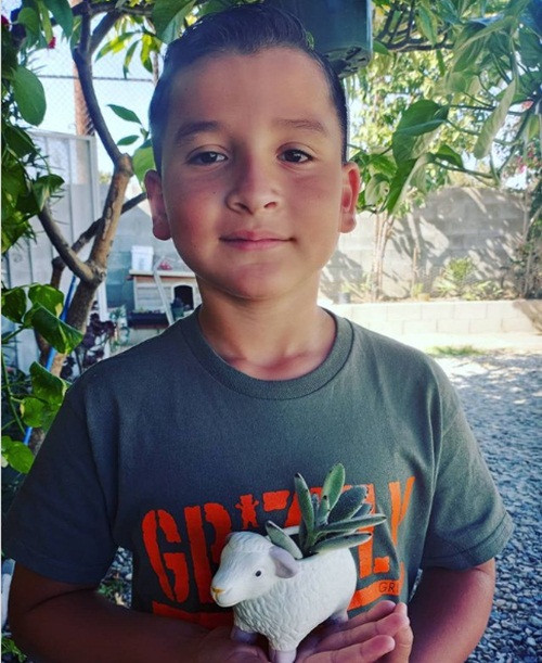 Từ cảnh vô gia cư, cậu bé 8 tuổi này đã kiếm được đủ tiền mua nhà chỉ trong chưa đầy 1 năm ảnh 2