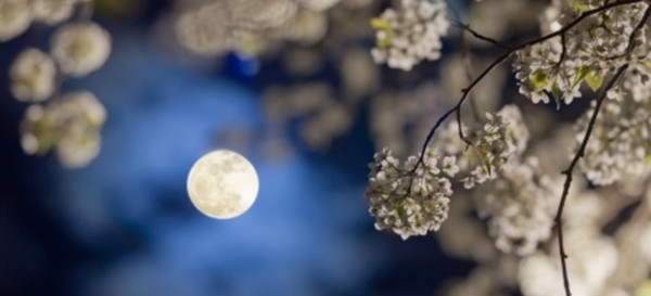 Chúng ta sắp đón Siêu Trăng Tròn cuối cùng và đặc biệt nhất năm, bạn sẵn sàng chưa? ảnh 2