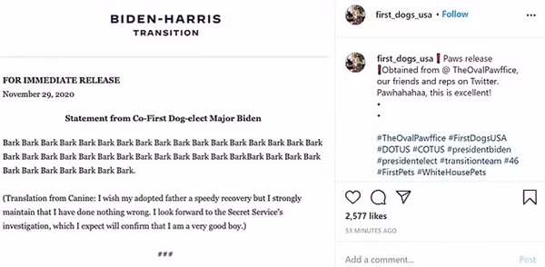 Chó cưng của ông Joe Biden đăng “tâm thư” xin lỗi vì khiến ông bị thương, ai cũng bật cười ảnh 4