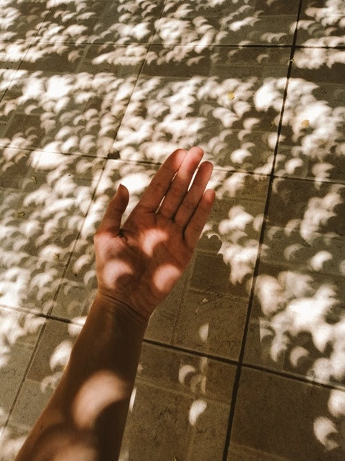 Nhật thực cuối cùng của năm 2020: Cư dân mạng chia sẻ những hình ảnh ấn tượng ảnh 6