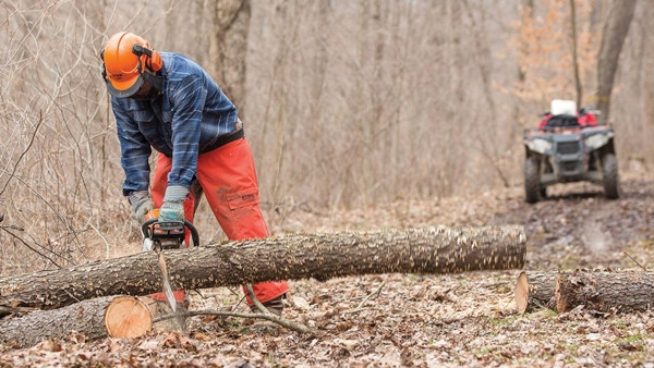 Cách quản lý hiệu quả: Một lời khen ngợi có thể thay đổi cả một cuộc đời ảnh 2