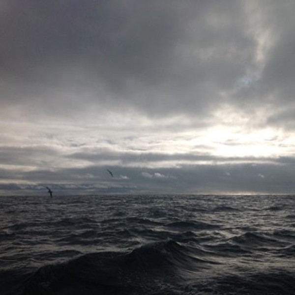 Người đang an toàn nhất thế giới: Lênh đênh trên biển, “cách ly xã hội” suốt 6 tháng nay! ảnh 3