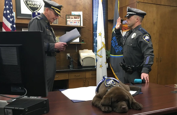 Bảnh như “Boss“: Cảnh khuyển lăn ra ngủ suốt buổi lễ gia nhập, gọi cỡ nào cũng không dậy! ảnh 4