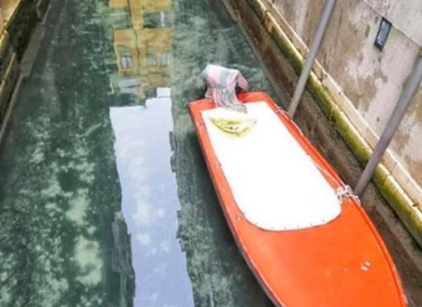 Nước ở Venice đã trong hơn rất nhiều. Cập nhật ngay 6 thông tin tích cực về dịch Covid-19 trên khắp thế giới ảnh 3