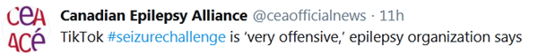 “Thử thách động kinh” trên TikTok: Vừa nguy hiểm, vừa mang tính xúc phạm đến người bệnh ảnh 3