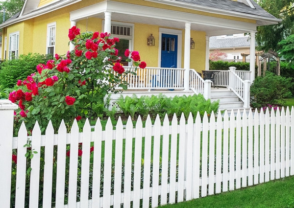 “Bật mí” những bí mật tâm lý: Chuyến đi trong rừng nói gì về tính cách và tình yêu của bạn ảnh 3