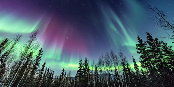 "Aurora Borealis" - dải lụa kỳ ảo trên bầu trời. Top 20 từ tiếng Anh đẹp nhất để bạn tạo ấn tượng cho bài viết của mình (phần 2) ảnh 5