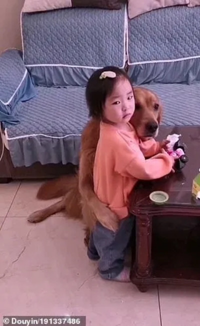 Chú chó bảo vệ cô bé bị mẹ mắng dễ thương thế này, tại sao lại bị cộng đồng mạng nghi ngờ? ảnh 5