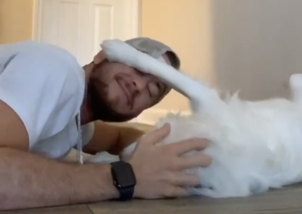 Tại sao câu chuyện người chủ đánh thức chú chó dậy lại nhận được 13 triệu lượt “like“? ảnh 3