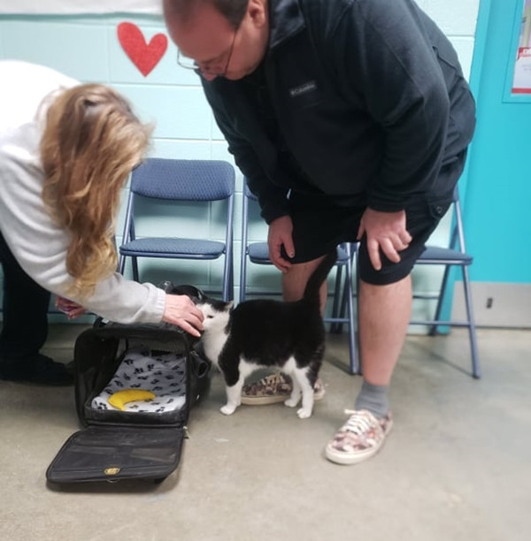 “Chú mèo hư nhất thế giới” Perdita cuối cùng đã được một gia đình nhận nuôi ảnh 3