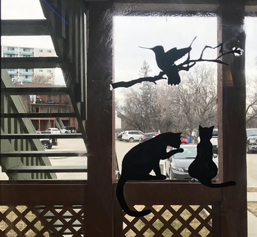 Biến cửa sổ thành tác phẩm nghệ thuật tương tác: Vẻ đẹp của sự sáng tạo ảnh 5