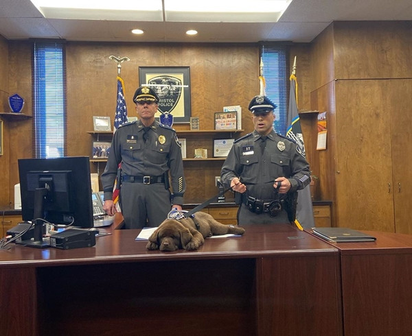 Bảnh như “Boss“: Cảnh khuyển lăn ra ngủ suốt buổi lễ gia nhập, gọi cỡ nào cũng không dậy! ảnh 1