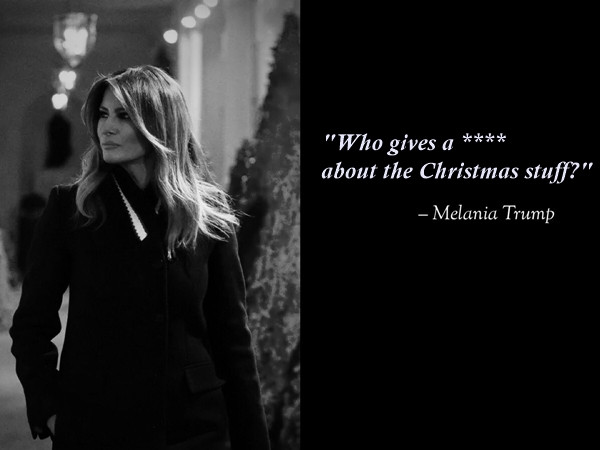 Tổng thống Trump và Phu nhân chụp ảnh mừng Giáng Sinh, cư dân mạng nhận ra điều đặc biệt ảnh 3