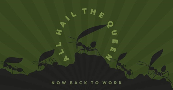 Hơn 1,7 triệu người tham gia nhóm Facebook lạ lùng này để được nhập vai… những chú kiến ảnh 2