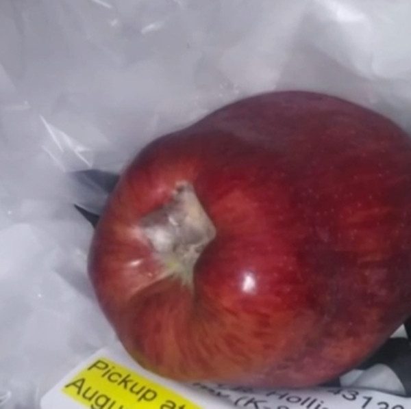 Vừa đầu năm học, phụ huynh ở Mỹ đã giận dữ vì trường cho học sinh ăn thực phẩm thối, mốc ảnh 3