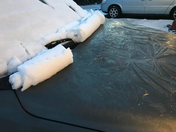 Cuộc sống không phải lúc nào cũng bình thường: Những bức ảnh bất ngờ chứng minh điều đó ảnh 6