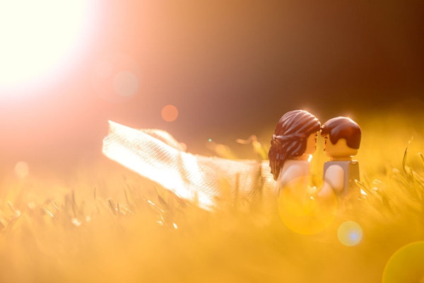 Giải pháp “chống buồn chán”: Tổ chức đám cưới cực yêu cho các nhân vật Lego ảnh 8