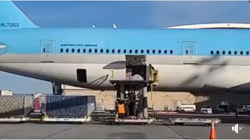 NSƯT Hoài Linh viết lời cảm tạ và thông tin về chuyến bay đưa thi thể Chí Tài đến Mỹ ảnh 1