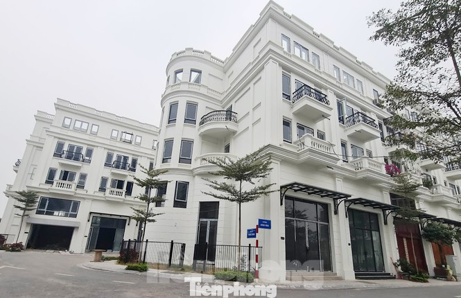 Giao 'đất vàng' giá bèo làm khu đô thị, rộ biệt thự phá vỡ quy hoạch ảnh 1