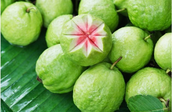 Mắc những bệnh này có thèm đến mấy cũng không được ăn ổi kẻo 'hối không kịp' ảnh 3