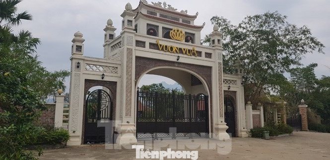 Phó Chủ tịch Hà Nội bị đề nghị kiểm điểm, dự án nghìn tỷ vướng loạt sai phạm ảnh 2