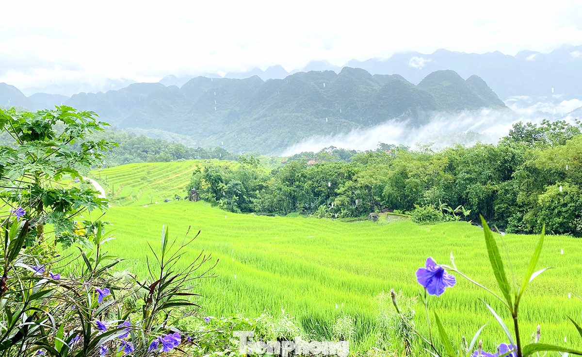 Đi săn mây ở Pù Luông, địa điểm sống ảo cho dân mê xê dịch ảnh 6