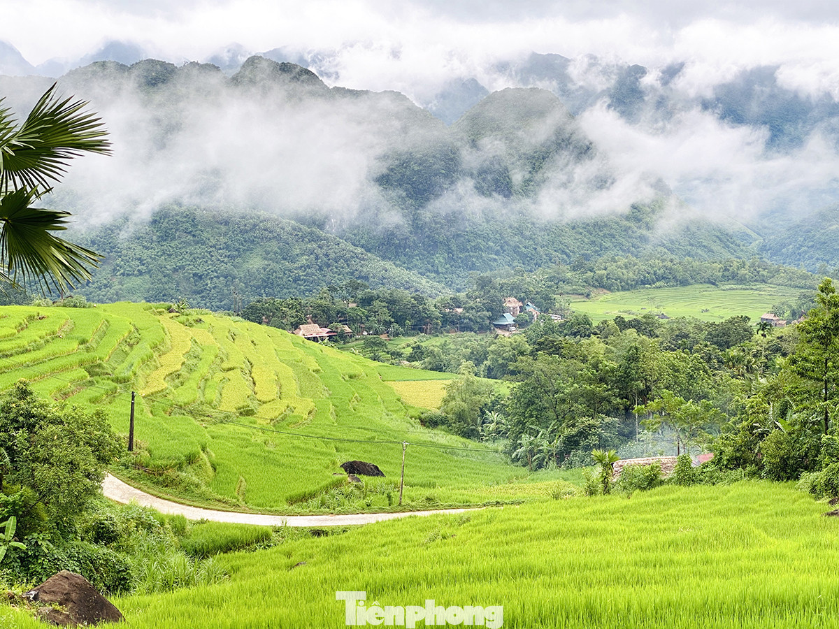 Đi săn mây ở Pù Luông, địa điểm sống ảo cho dân mê xê dịch ảnh 8