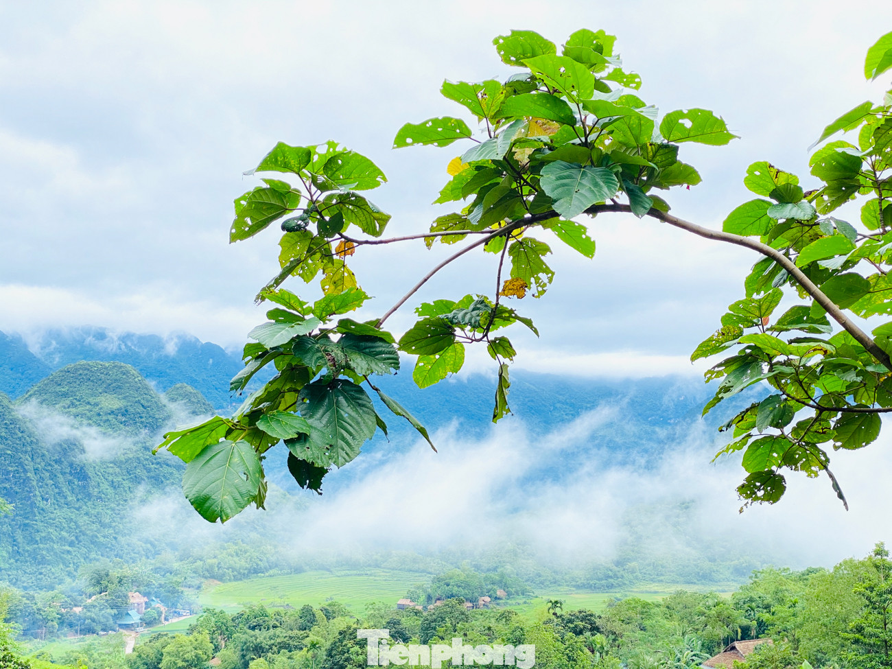 Đi săn mây ở Pù Luông, địa điểm sống ảo cho dân mê xê dịch ảnh 2