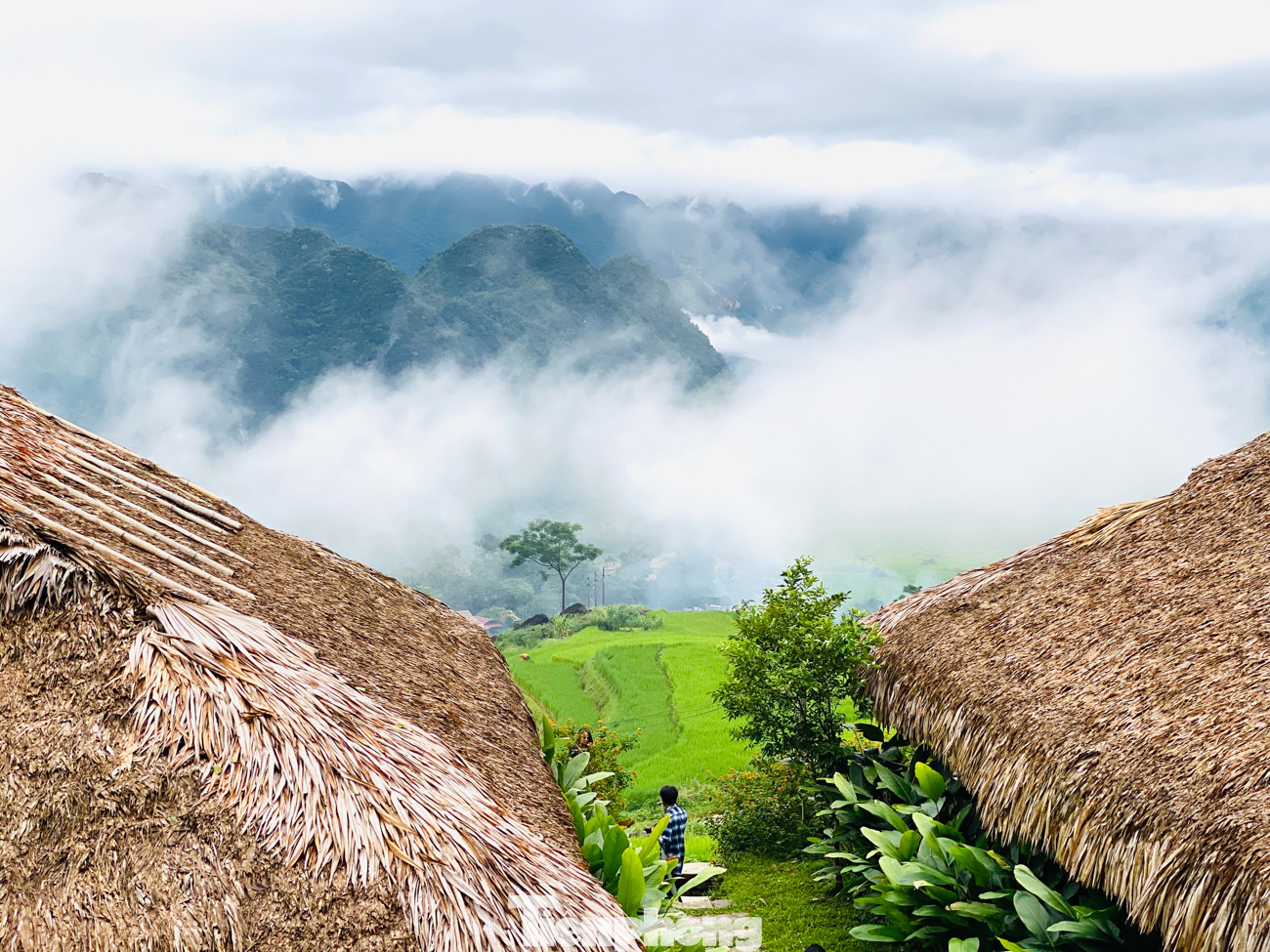 Đi săn mây ở Pù Luông, địa điểm sống ảo cho dân mê xê dịch ảnh 3