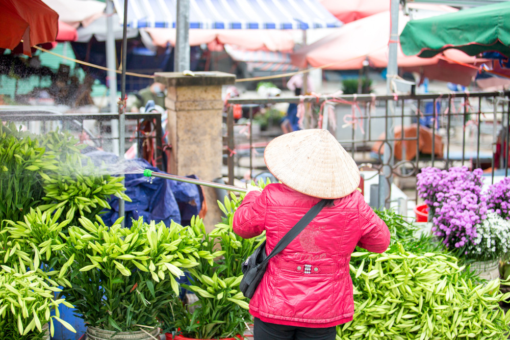Người trồng hoa Hà Nội lâm cảnh 'hoa cười người khóc' ảnh 10