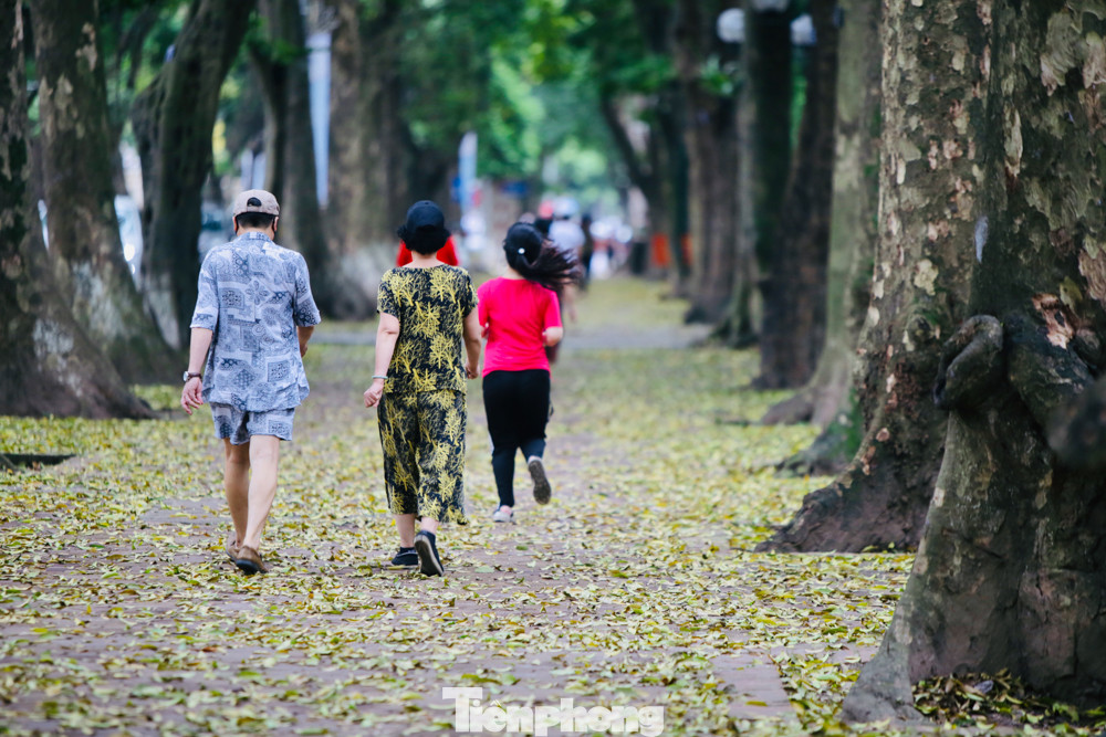 Người Hà Nội xuống phố chụp ảnh lá vàng rơi bất chấp giãn cách xã hội ảnh 3