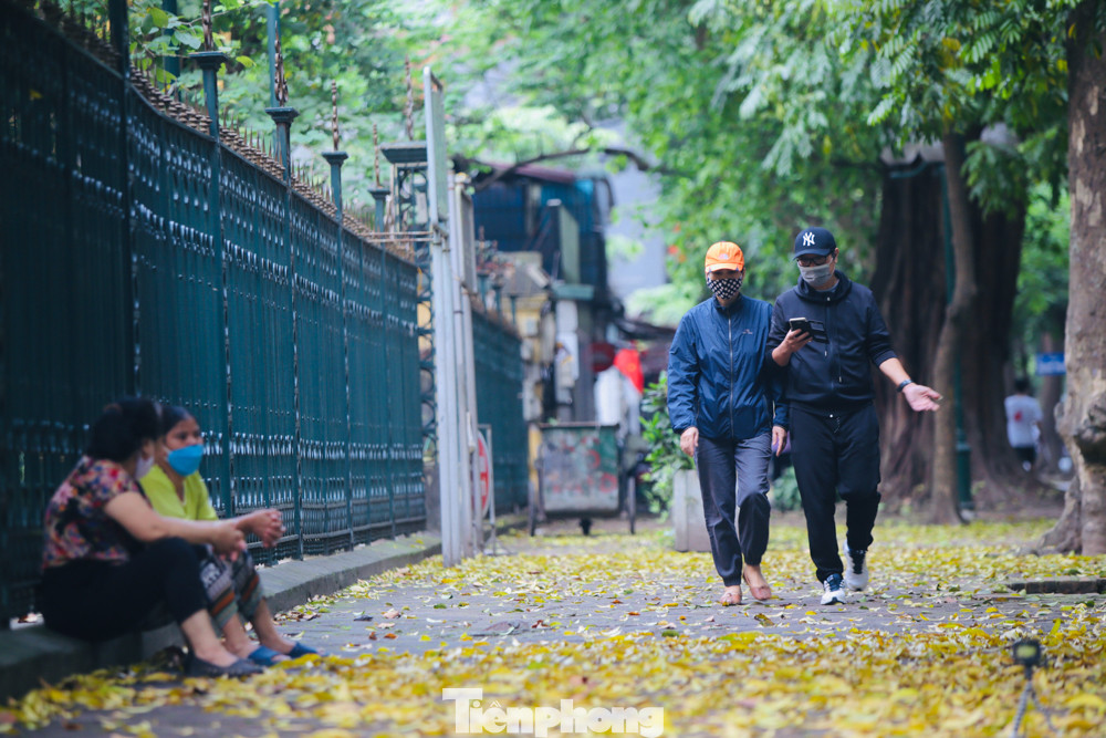 Người Hà Nội xuống phố chụp ảnh lá vàng rơi bất chấp giãn cách xã hội ảnh 14
