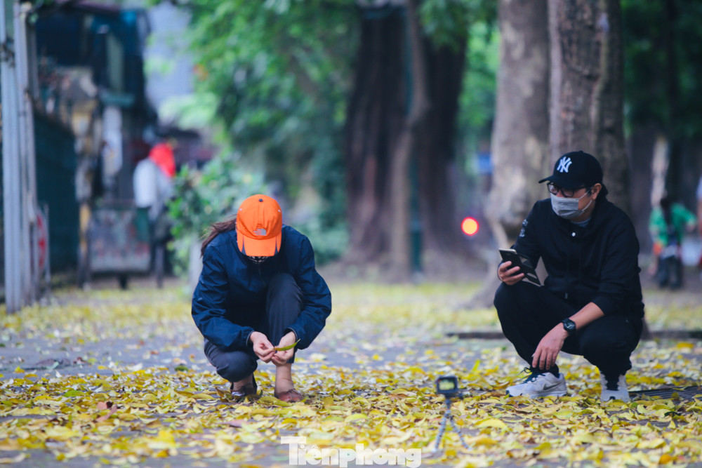 Người Hà Nội xuống phố chụp ảnh lá vàng rơi bất chấp giãn cách xã hội ảnh 10