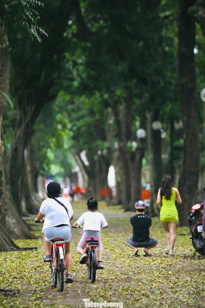 Người Hà Nội xuống phố chụp ảnh lá vàng rơi bất chấp giãn cách xã hội ảnh 6