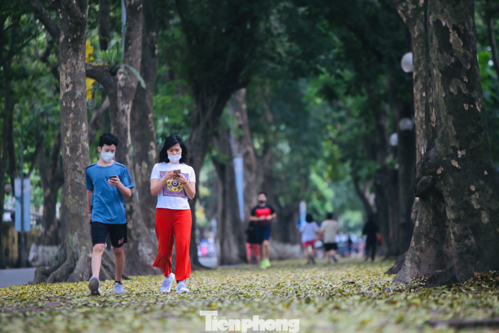 Người Hà Nội xuống phố chụp ảnh lá vàng rơi bất chấp giãn cách xã hội ảnh 13