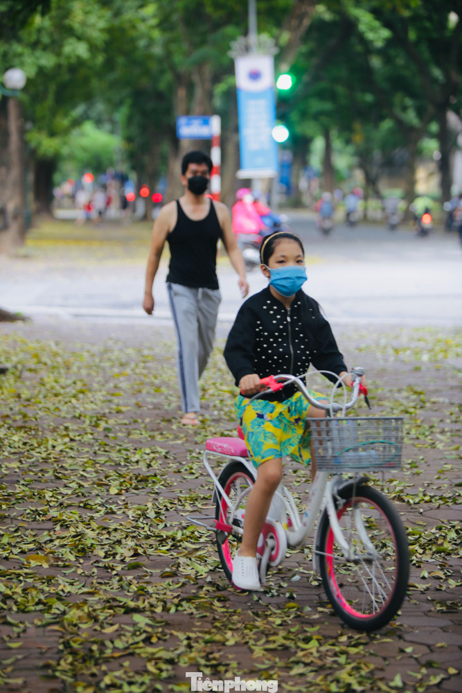 Người Hà Nội xuống phố chụp ảnh lá vàng rơi bất chấp giãn cách xã hội ảnh 5