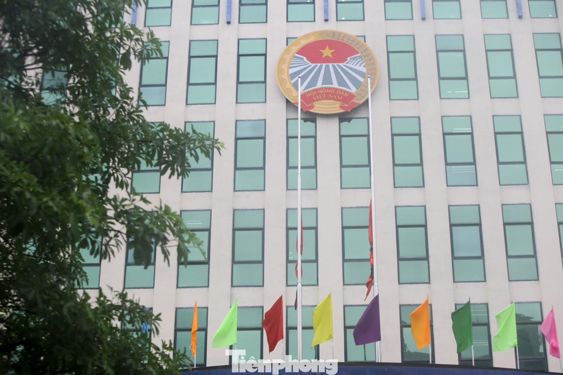 Hà Nội treo cờ rủ ngày Quốc tang nguyên Tổng Bí thư Lê Khả Phiêu ảnh 11