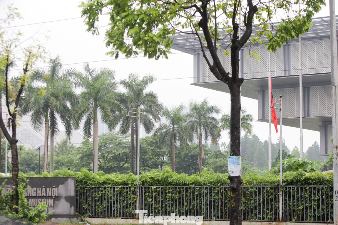 Hà Nội treo cờ rủ ngày Quốc tang nguyên Tổng Bí thư Lê Khả Phiêu ảnh 5