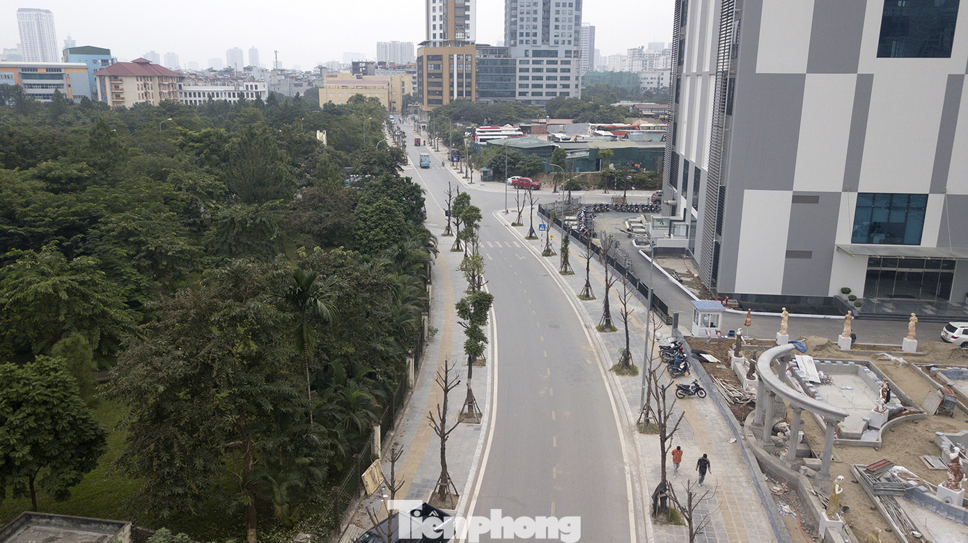 Hàng loạt cây trồng chết khô trên trục đường Cầu Giấy - Dương Đình Nghệ ảnh 11