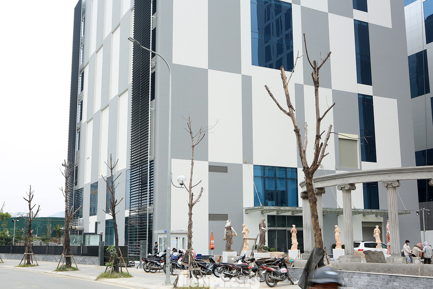 Hàng loạt cây trồng chết khô trên trục đường Cầu Giấy - Dương Đình Nghệ ảnh 9