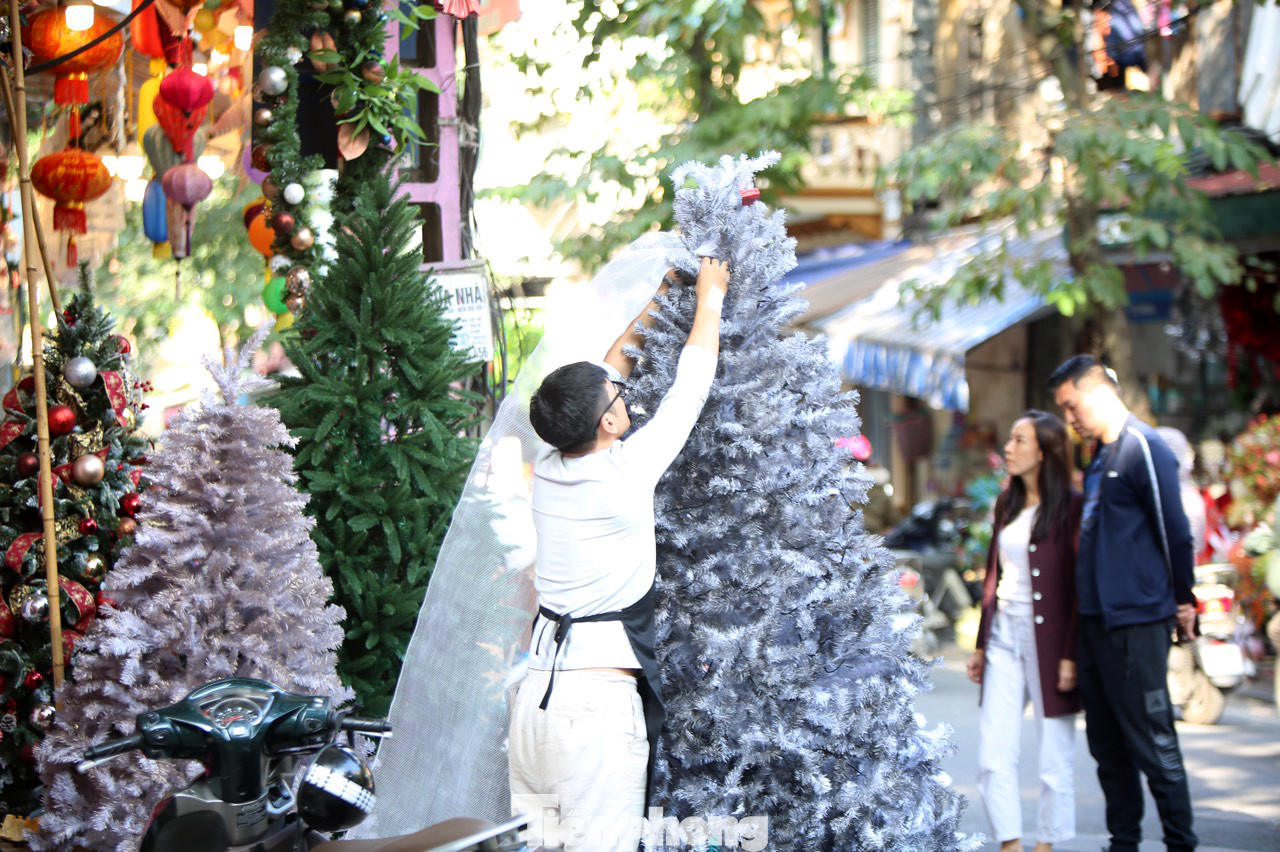 Giới trẻ lên phố Hàng Mã chụp ảnh Giáng sinh ảnh 5
