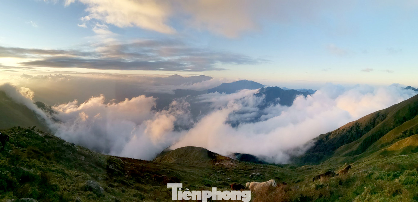 Lên đỉnh 'Thiên đường săn mây, bắt gió' Tà Chì Nhù ảnh 6