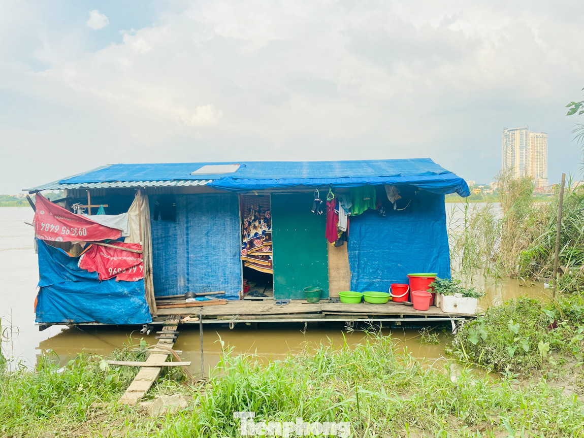 Cuộc sống bị đảo lộn của người dân bãi giữa sông Hồng mùa nước lên ảnh 13