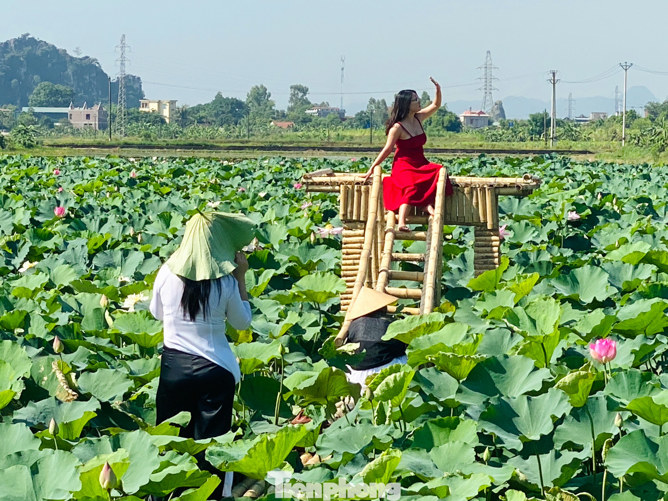 Đầm sen nở rộ dưới chân núi Ngọa Long ảnh 6