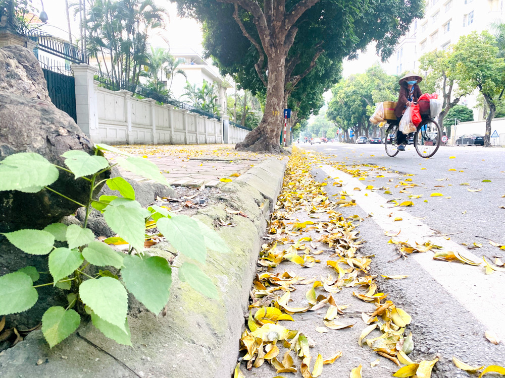 Hà Nội tĩnh mịch mùa COVID-19 qua gương soi bóng nước ảnh 8